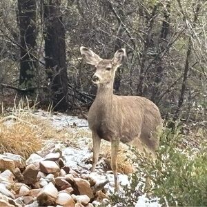 Meet your Posher, Gina